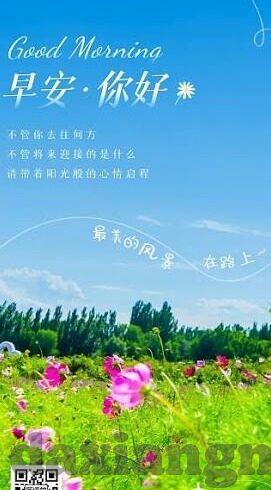 糖心vlog金善雅-穿梭在生活艺术，金善雅的糖心Vlog探索之旅